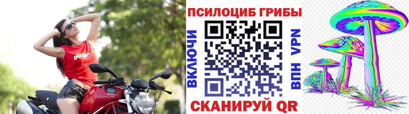 Псилоцибиновые грибы ЛСД где можно купить наркотик Хасавюрт