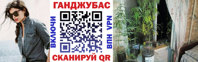 Шишки марихуана сатива Хасавюрт
