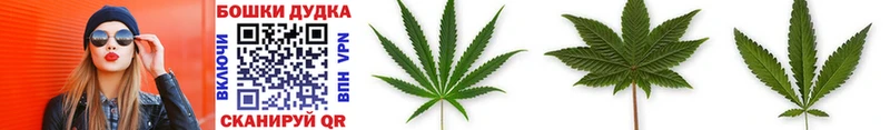 как найти закладки  Хасавюрт  Каннабис White Widow 